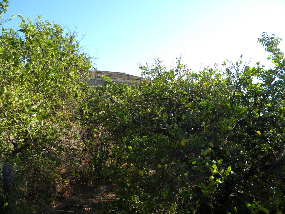 DSCN8091 .JPG